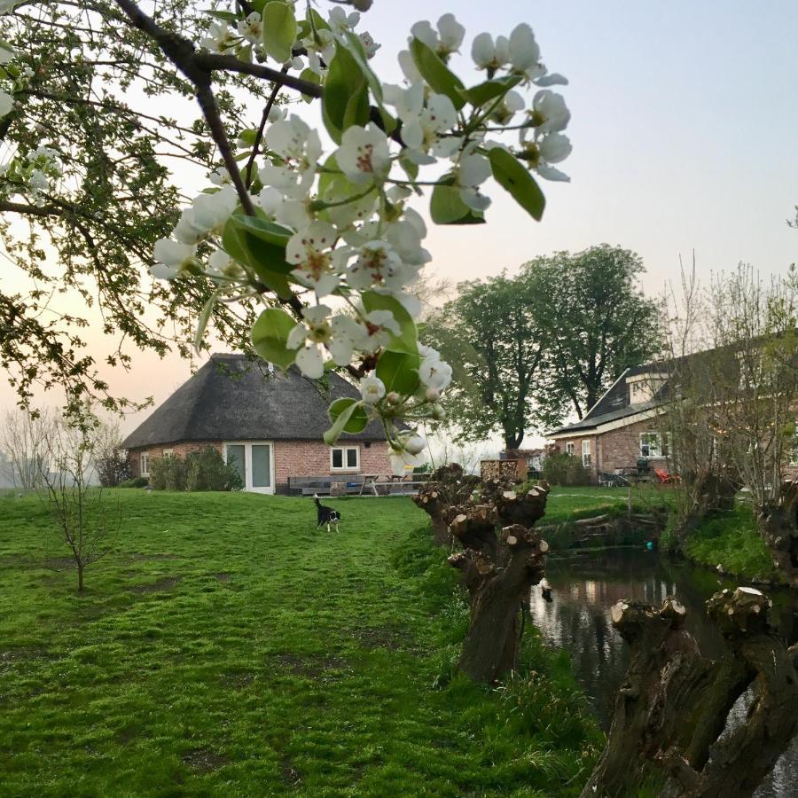 Groeten Uit Hoogmade - Rural Cottage Exteriör bild