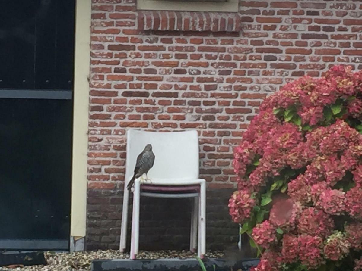 Groeten Uit Hoogmade - Rural Cottage Exteriör bild