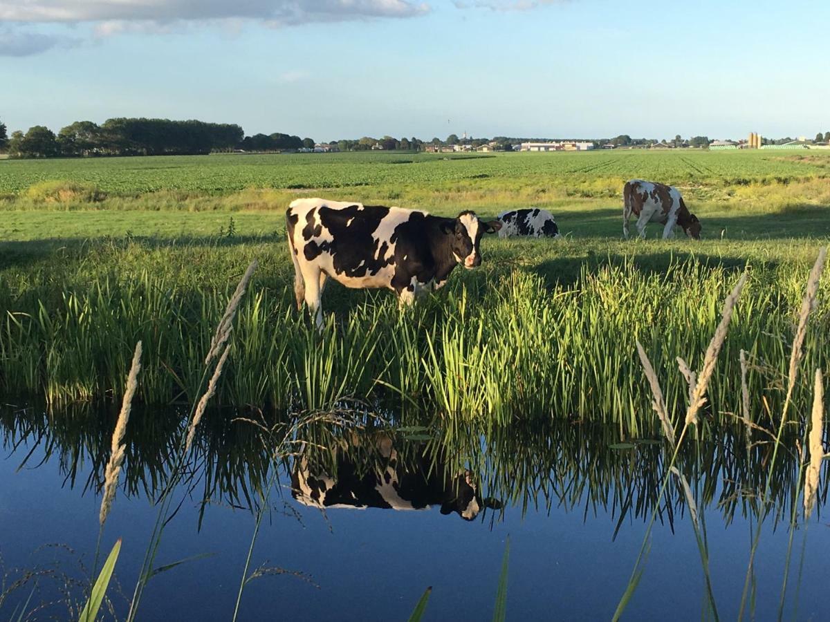 Groeten Uit Hoogmade - Rural Cottage Exteriör bild
